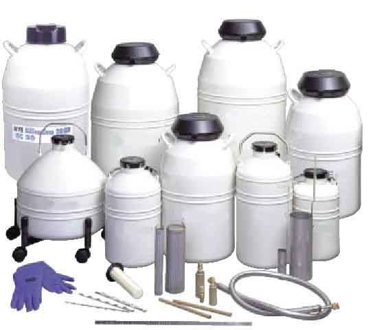 Best Cryogenic Containers in Uganda: Reliable Solutions from Oxyplus Services Ltd at Competitive Prices